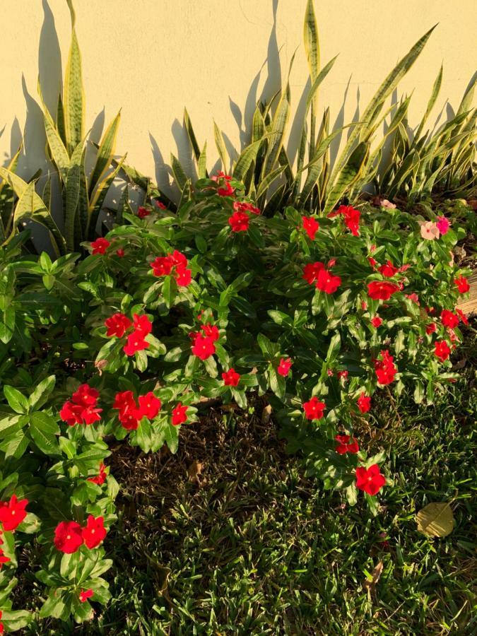 Miami Private Guest House Miami Springs Екстериор снимка